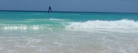 Maxwell Beach is one of Barbados Child-Friendly Beaches.