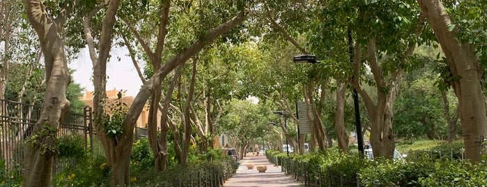 Al Muraba Square is one of Non-food-related activities in Riyadh.