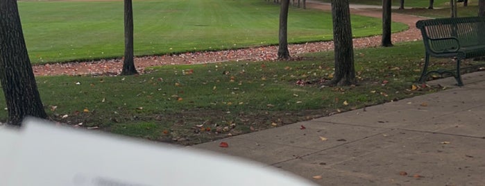 San Ramon Central Park is one of skate parks.