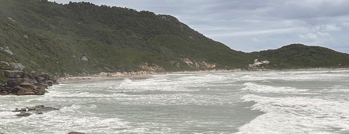 Praia da Galheta is one of Lugares que vale la pena conocer.