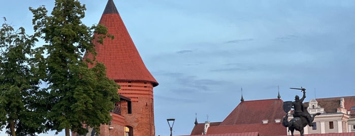 Kaunas Castle is one of Lit-huania.