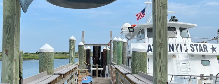 Starlight Fleet is one of Cape May & the Crest.