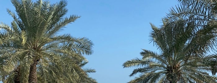 Al-Bander Resort is one of bahreyn.
