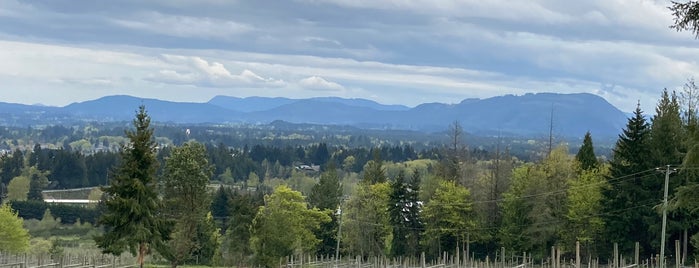 Averill Creek Vineyard is one of Vancouver Christmas.