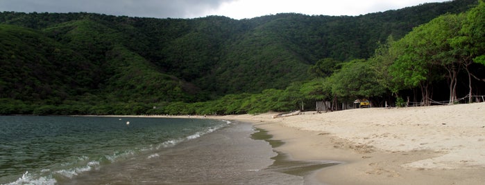 Bahía Concha is one of Caribbean_Norte Sur.
