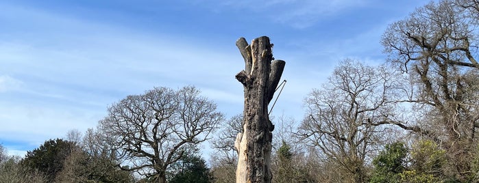 Oxleas Wood is one of Parks.