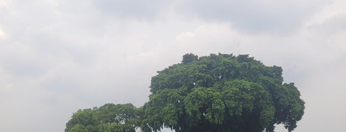 Alun - Alun Kidul is one of Lively Yogyakarta.