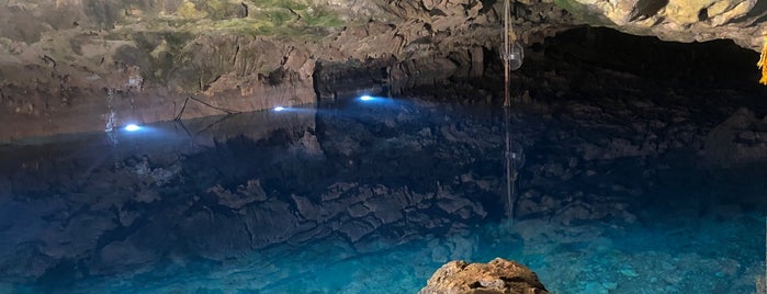 Cenote Chihuan is one of Lugares favoritos de Soni.
