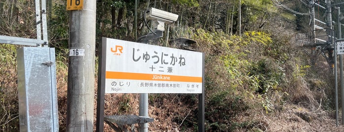 Jūnikane Station is one of JR 고신에쓰지방역 (JR 甲信越地方の駅).