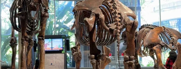 Page Museum at the La Brea Tar Pits is one of LA Museums.