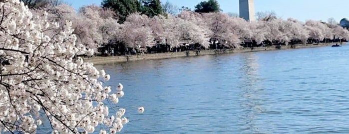 Floral Library is one of Massive List of Tourist-y Things in DC.