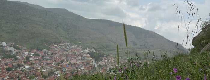 Karahisar Kalesi is one of Lieux qui ont plu à Esoşş.