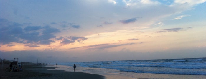 Beach Bar ARIKI is one of สถานที่ที่ Vicente ถูกใจ.