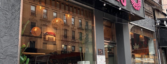 Lolita's Kitchen is one of Manhattan restaurants - uptown.