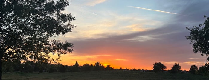 North Natomas Regional Park is one of Sacramento-Things to Do!.
