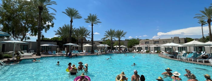 Paradise Pool is one of Phoenix seen through the eyes of locals.