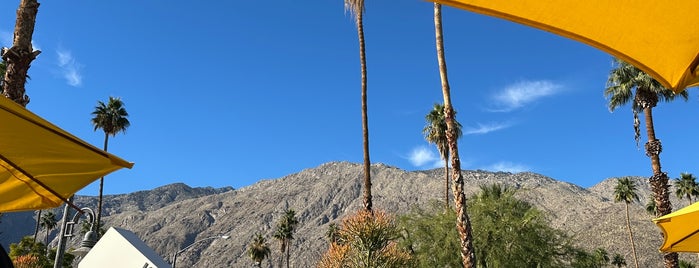 Koffi is one of Palm Springs.