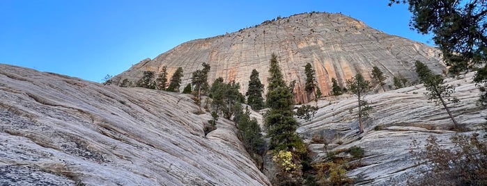 West Rim Trail is one of Zion.