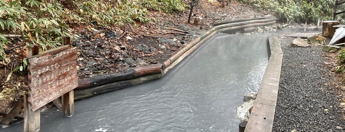 River Oyunuma Natural Footbath is one of Posti che sono piaciuti a Rex.