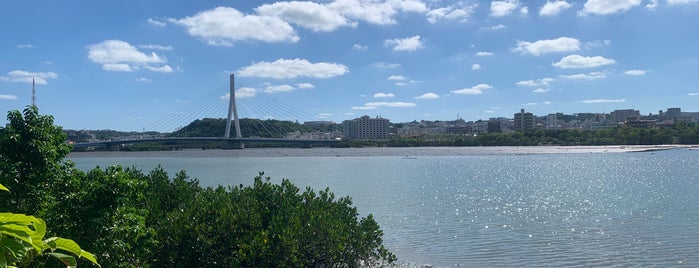 Manko Wetland is one of Okinawa Plan.