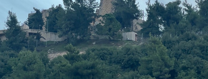Ajloun Castle is one of Jordan.