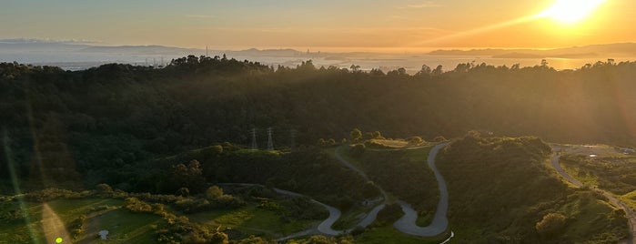 Outdoors in the Bay Area