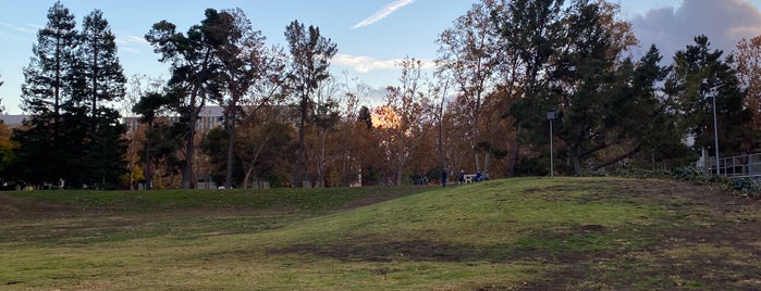 Cuesta Park Off Leash Area is one of Lieux sauvegardés par Daniel.