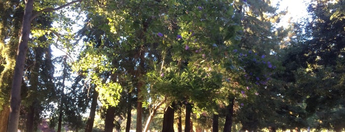 Cuesta Park is one of Sunnyvale.