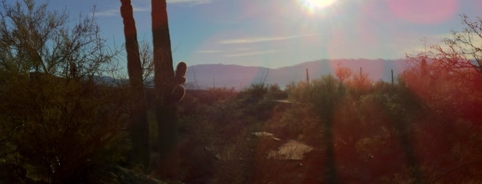Sabino Canyon Trail is one of TUCSON.