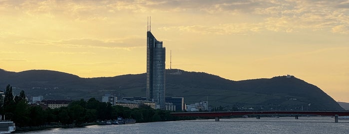 Danubio is one of Allee II.