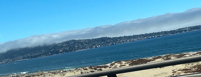 The Marine Layer is one of Locais curtidos por Guy.