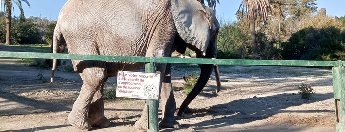 Zoo Belvédère is one of tunisie  2014.