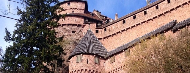 Château du Haut-Koenigsbourg is one of DLE.