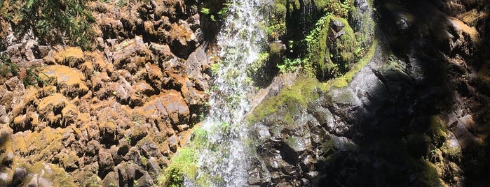 Fall Creek Falls is one of Tempat yang Disukai Jeff.