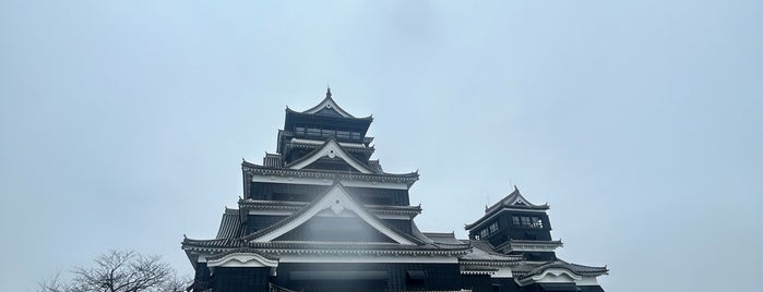 熊本城天守閣 大天守 is one of 100 "MUST-GO" castles of Japan 日本100名城.