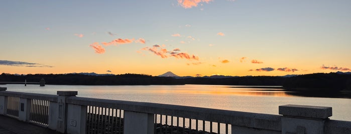 Yamaguchi Reservoir (Sayama Lake) is one of Kasikoサイクリング編.