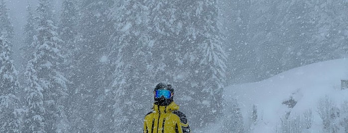 Kitzbühel Ski Area is one of # Full Liste.
