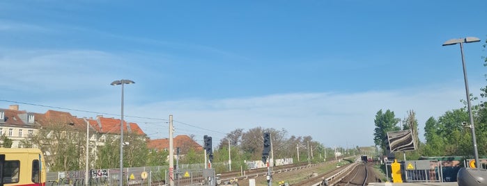 S Baumschulenweg is one of Besuchte Berliner Bahnhöfe.