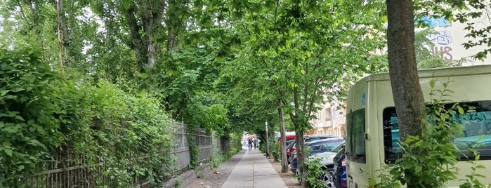 Prenzlauer Berg is one of daily.