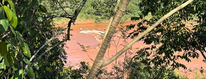 Macuco Safari is one of Iguazu.