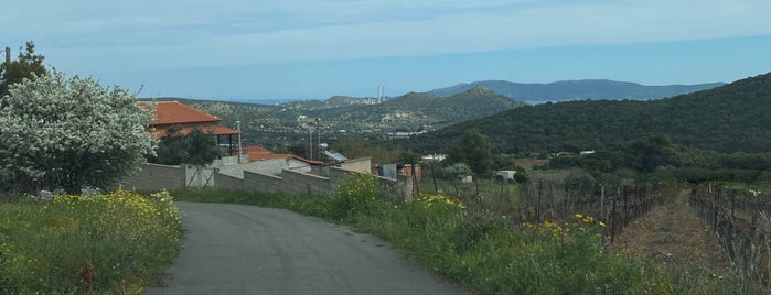 Lavrio is one of Attica South.