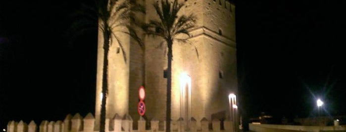 Torre de la Calahorra is one of Córdoba.
