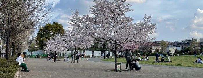 Shimotakaido Ozora Park is one of Lugares favoritos de Hide.