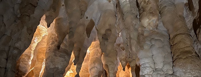 Waipu Cave is one of Northland.