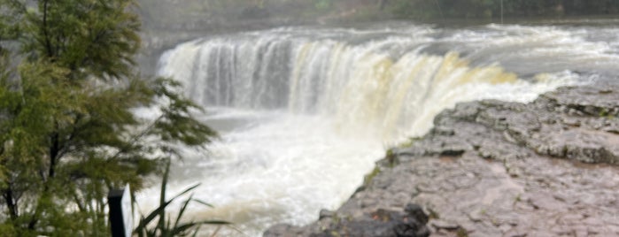 Haruru Falls is one of Nový Zéland.