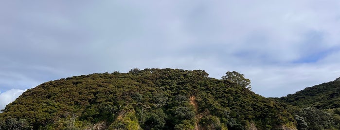 Cook's Cove is one of NZ.