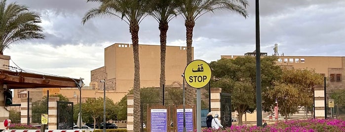 The American University in Cairo (AUC) is one of Favorite cultural places.