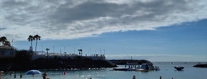 Puerto Colon Beach is one of Tenerifes, Spain.