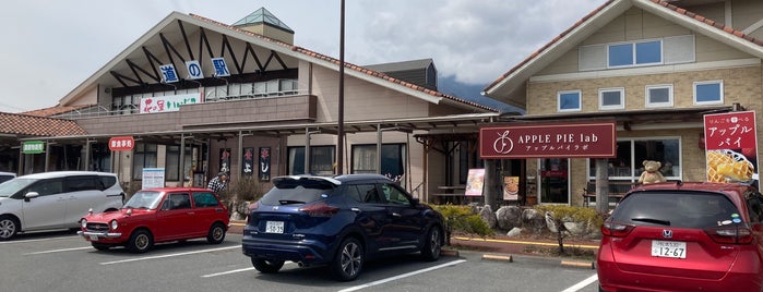 道の駅 花の里いいじま is one of 訪問した道の駅.