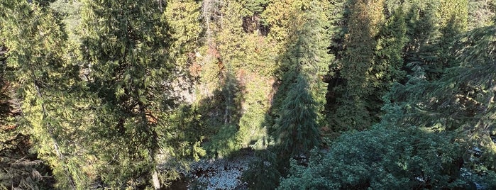 Capilano Cliffwalk is one of Vancouver.
